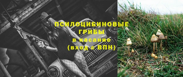 ПСИЛОЦИБИНОВЫЕ ГРИБЫ Белокуриха