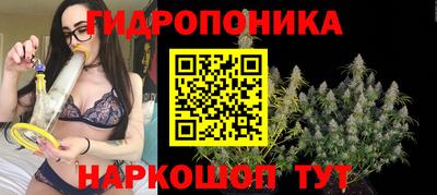 бошки Донской