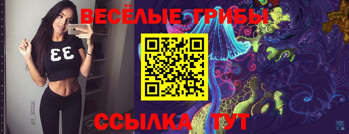 Краснокаменск  Псилоцибиновые грибы Magic Shrooms  Вход с VPN 